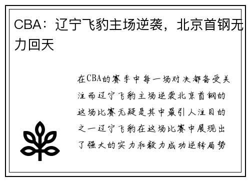 CBA：辽宁飞豹主场逆袭，北京首钢无力回天